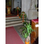 185 home-185-946.jpg